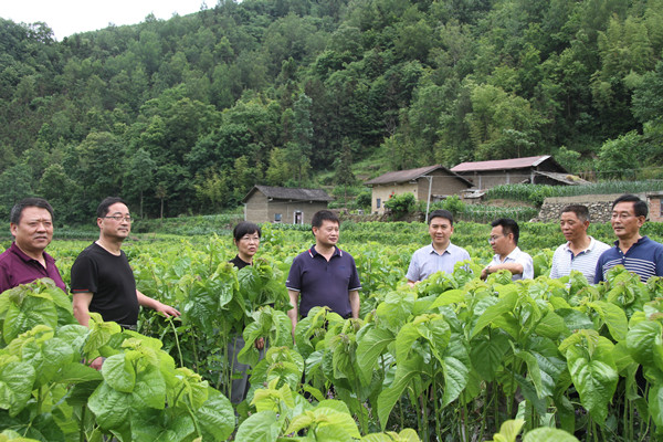 安康市商務(wù)局領(lǐng)導(dǎo)來(lái)我公司調(diào)研春蠶收購(gòu)及扶貧點(diǎn)蠶?；亟ㄔO(shè)情況